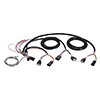 Federal Signal Rear Taillight Connection Wire Harness - EXPHARN01