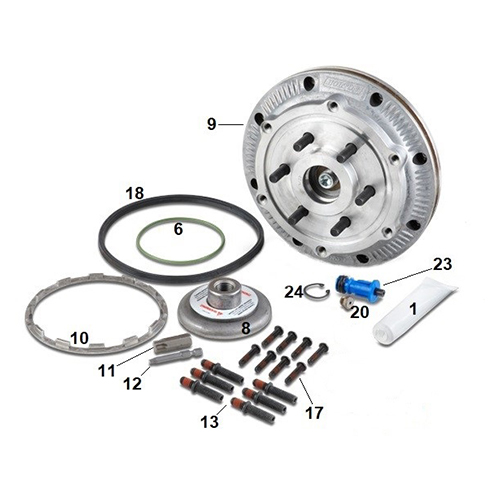 Horton DM Advantage Dual Pilot Clutch